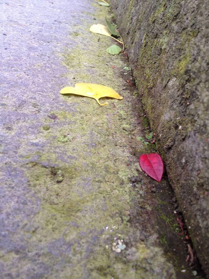 山都福永堂