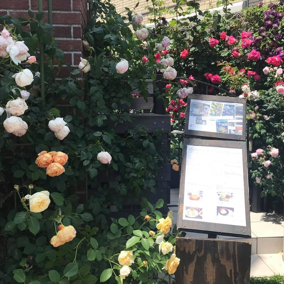 Cafe de Rose（カフェ・ド・ロゼ）