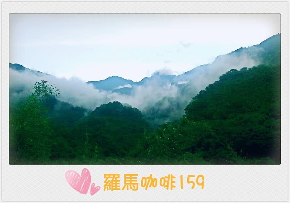 羅馬咖啡159