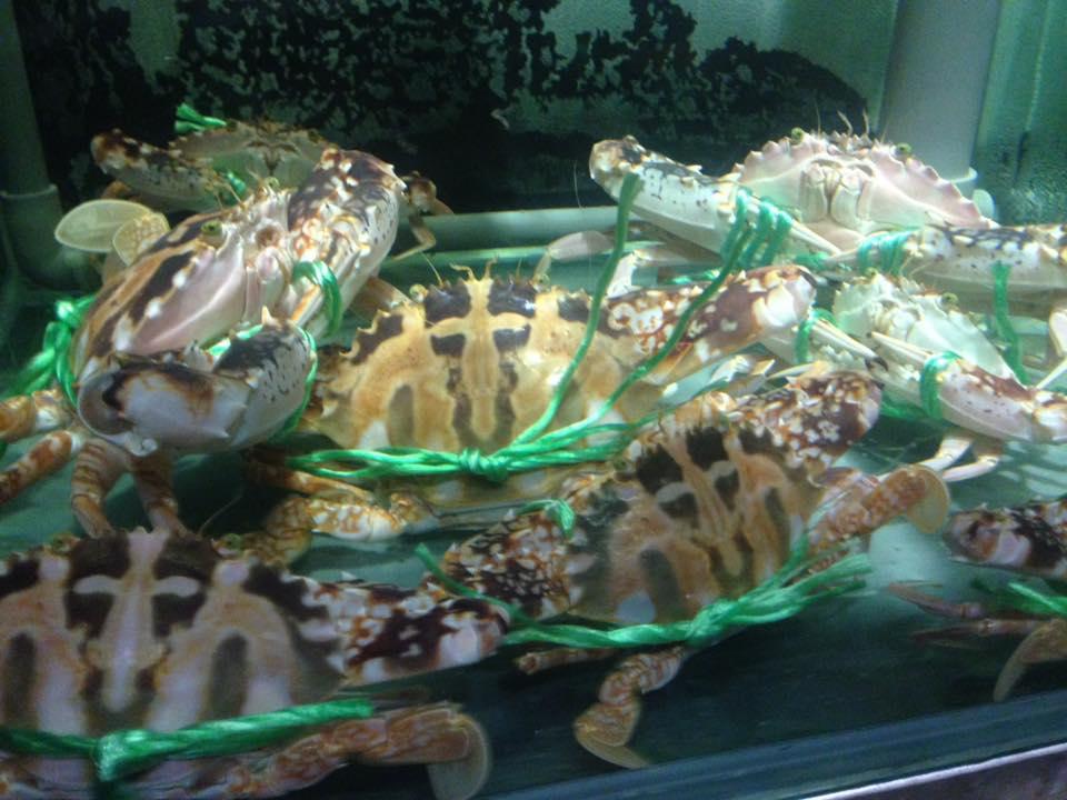 匯.鮨.割烹