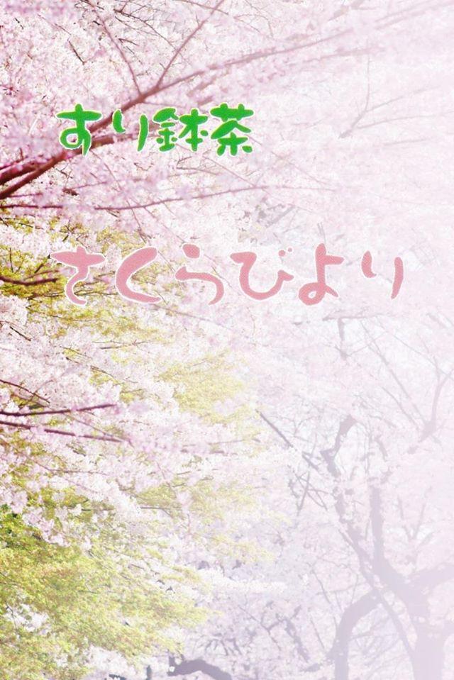 すり鉢茶　さくらびより