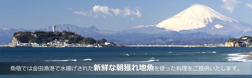 新鮮な地魚朝どれ地魚ダイニング＆回転寿司の『魚敬』グループ