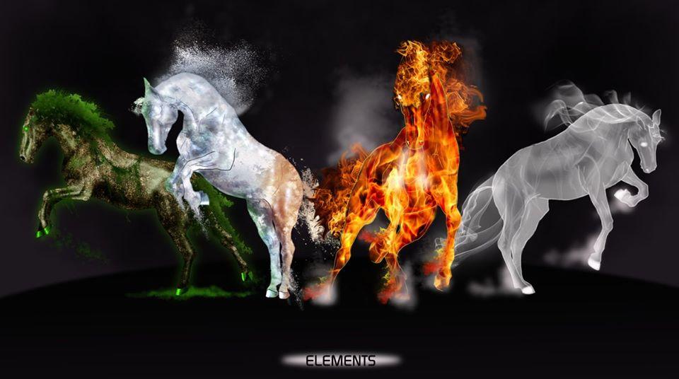 Four Elements Restaurant Discoteca, C.A