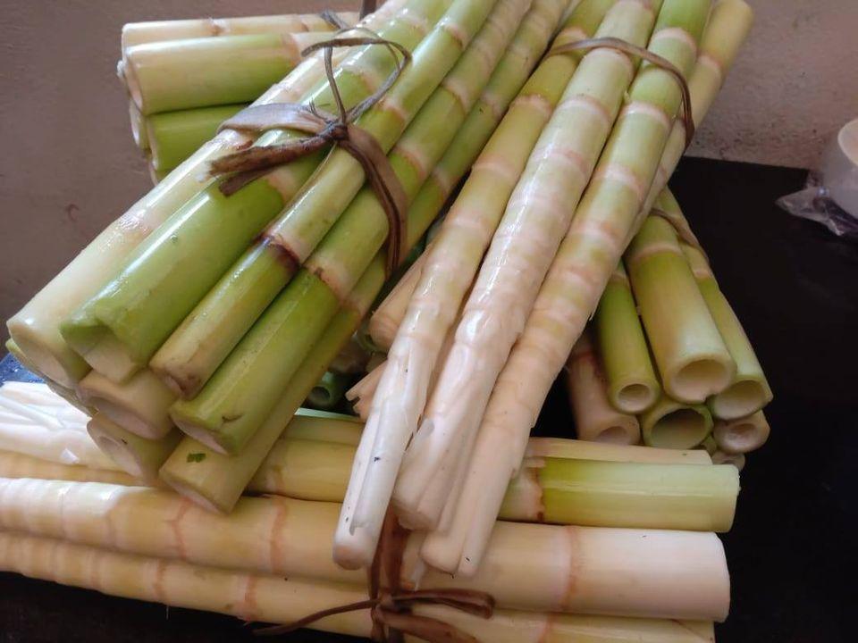 Bamboo Retreat Hotel