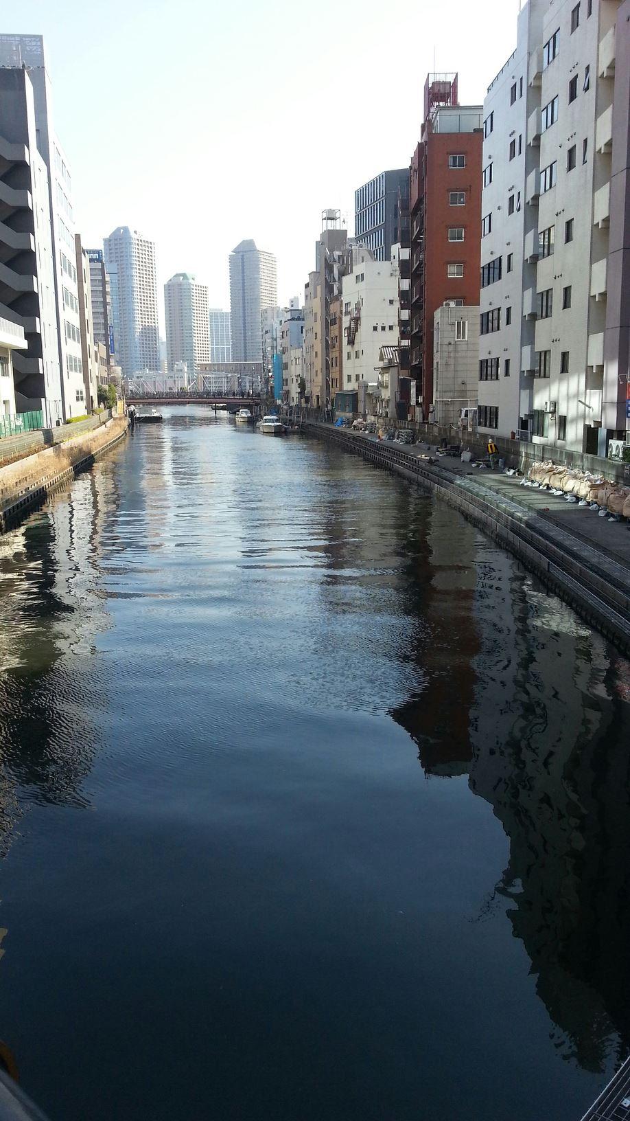 かめ太郎