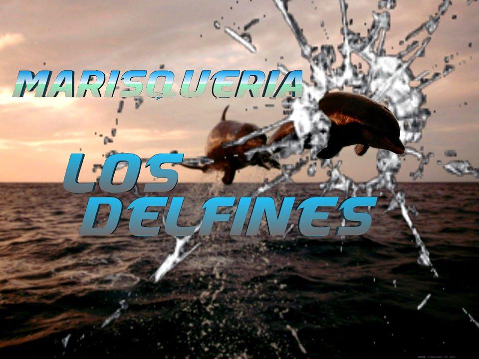 marisqueria LOS DELFINES