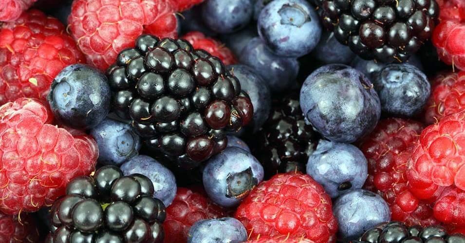 Yogberrybh