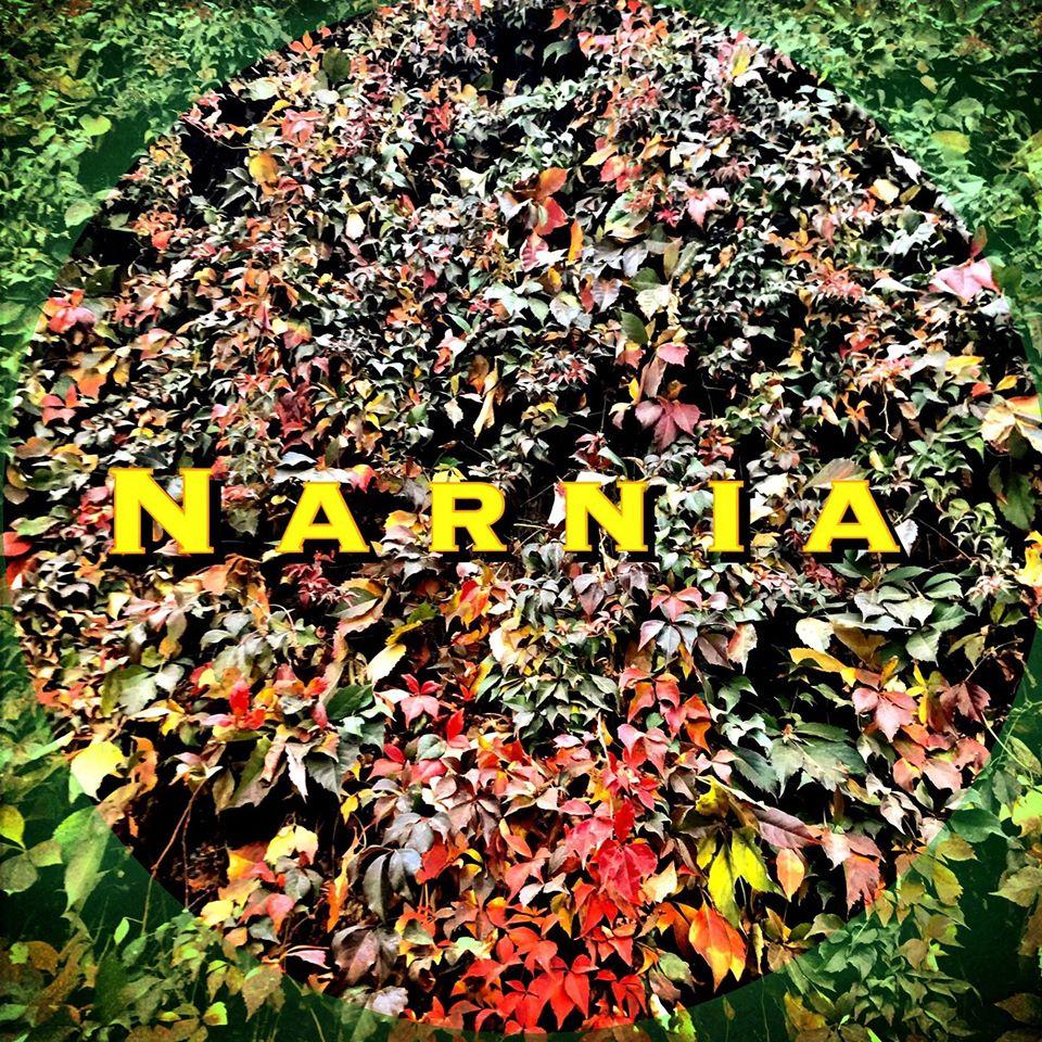 Narnia Cocktails Bar