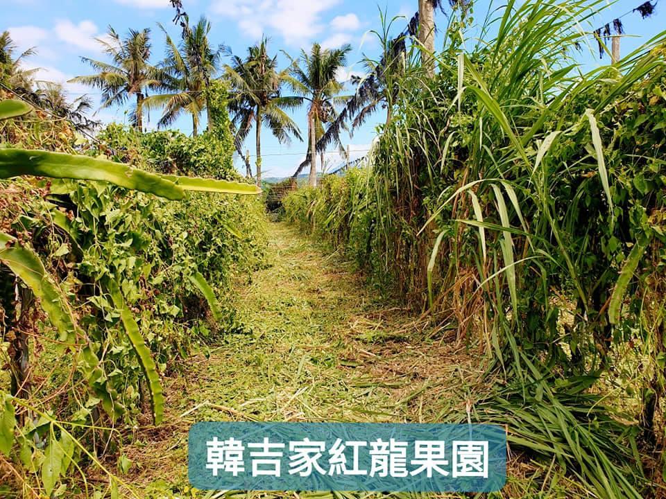 果珍濃台東水果珍奶