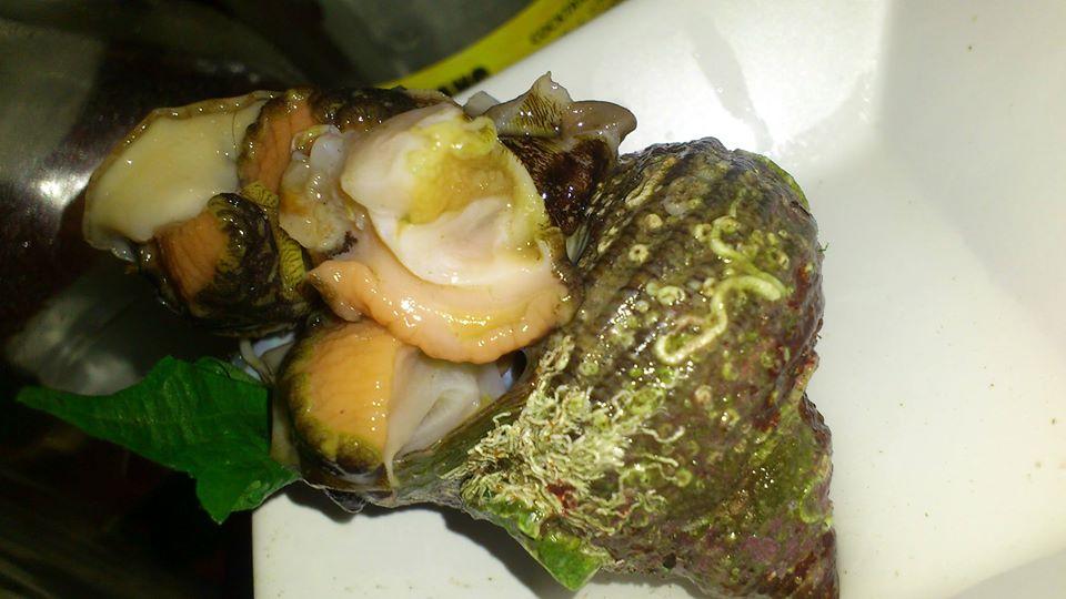 壺中