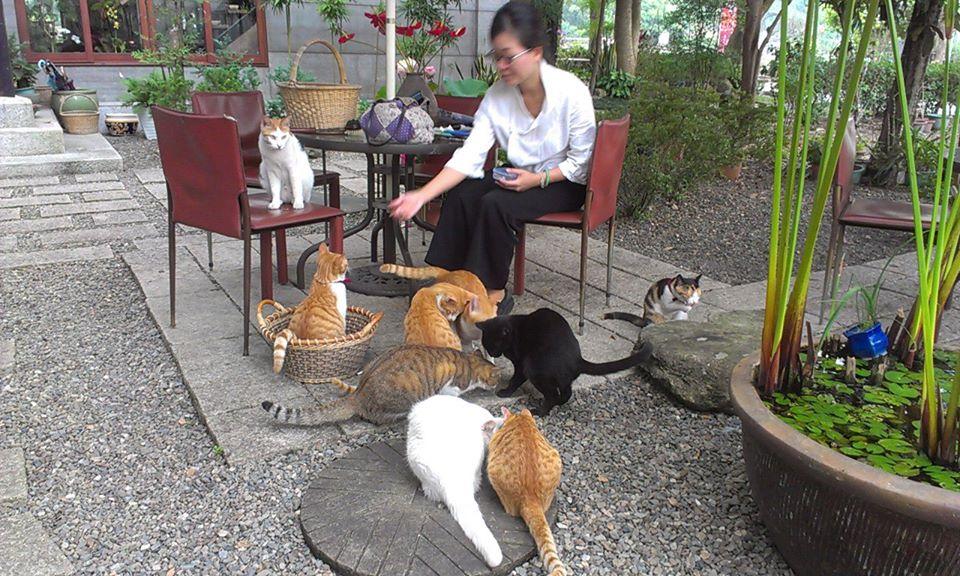 雅池園健康蔬食