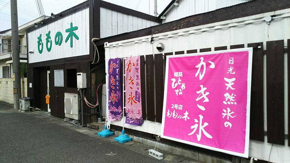 ももの木