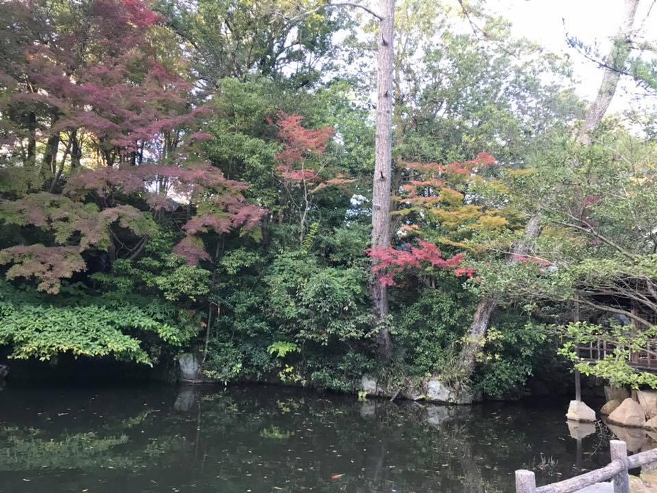 くノ一家