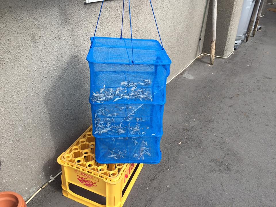 おうちご飯割烹　安月庵