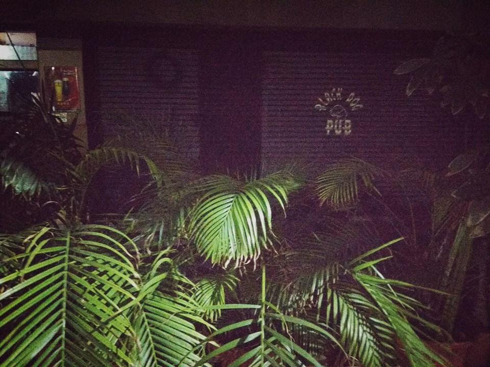 Black Dog Pub