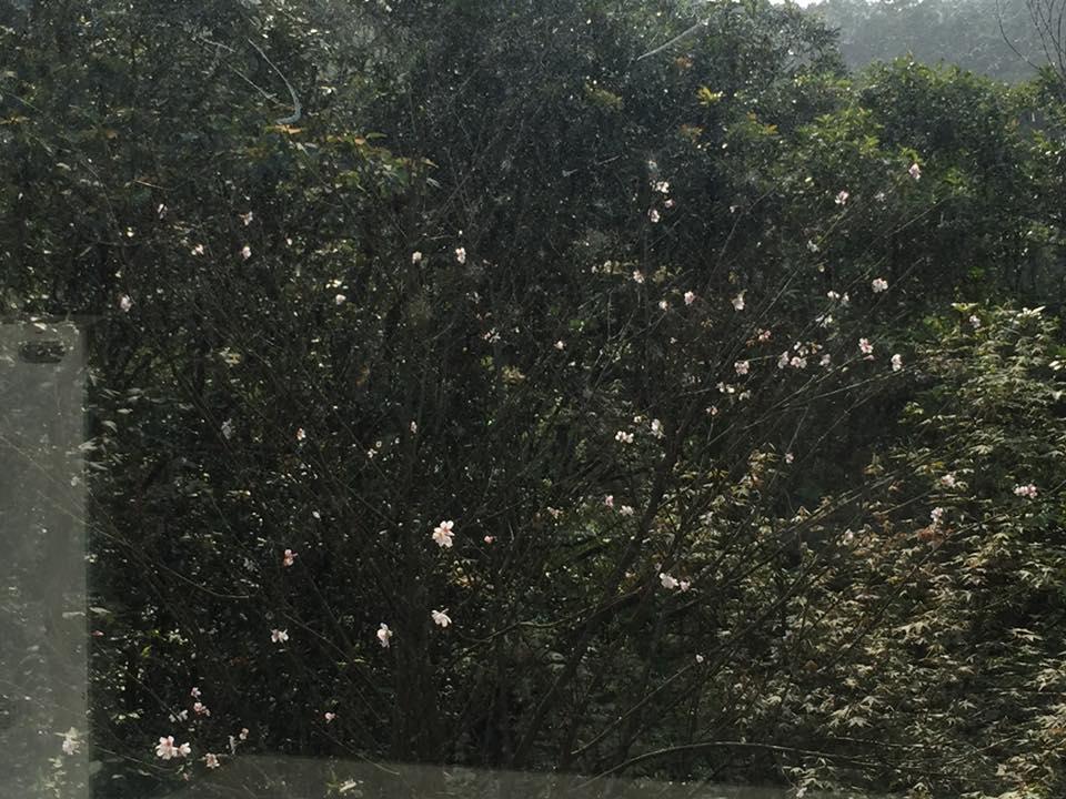 高砂町咖啡
