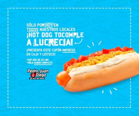 Pjd Temuco