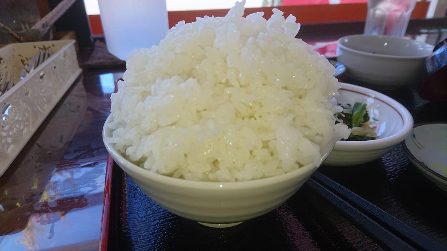 Yanagawa Fureai Garden Cafe