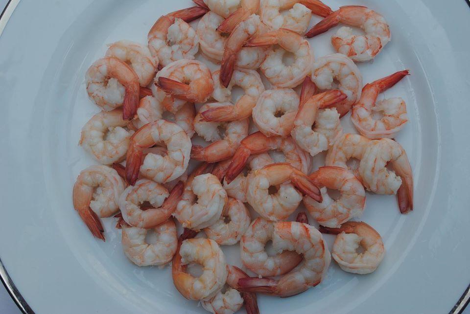 Shrimps agency