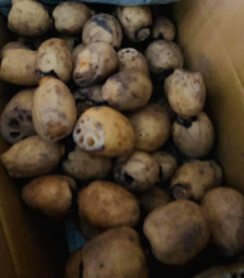 ３１０食堂
