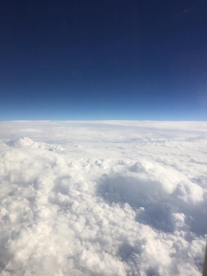 対州グループ