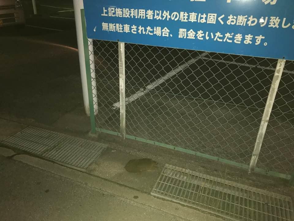 タートル・マンガ喫茶安城店