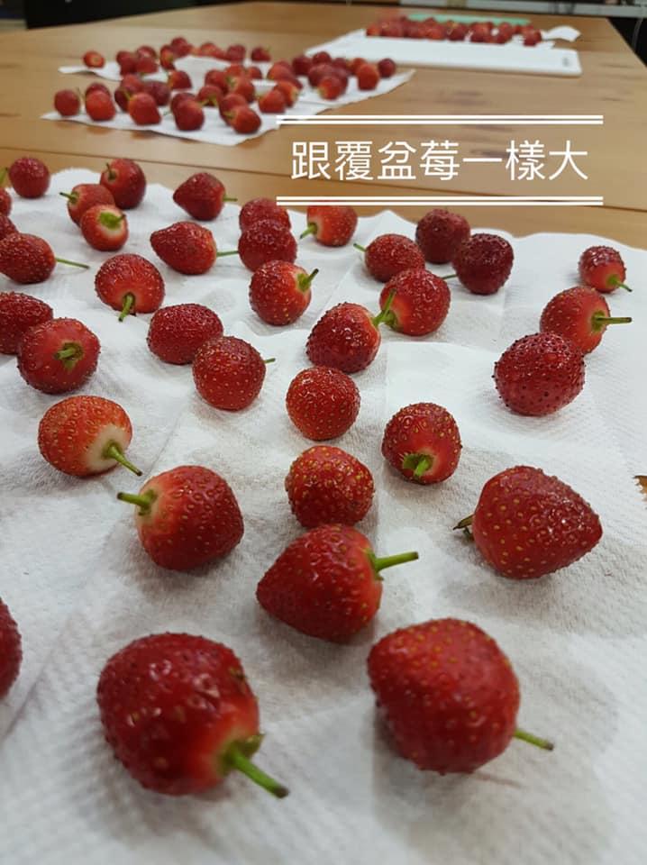 初好EatingBetter