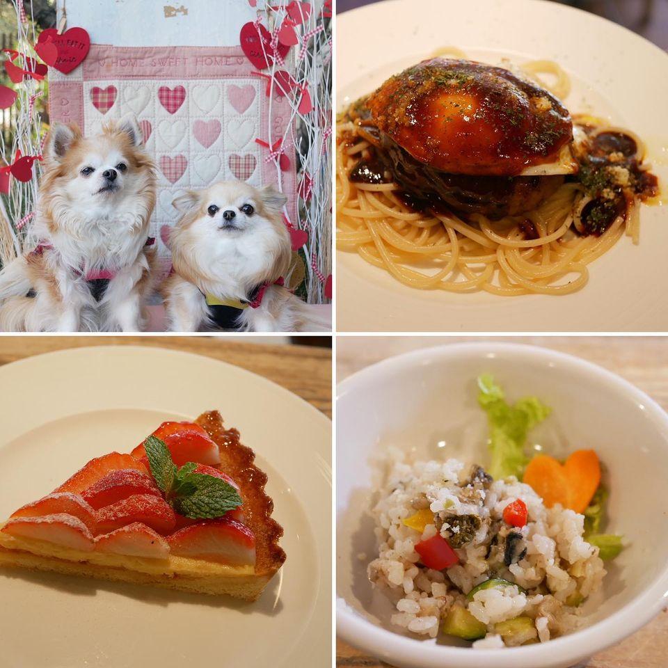 ワイズドッグカフェ ル ジャルダン
