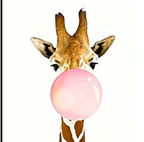 長頸鹿先生的小酒吧 Mr. Giraffe's Secret Bar