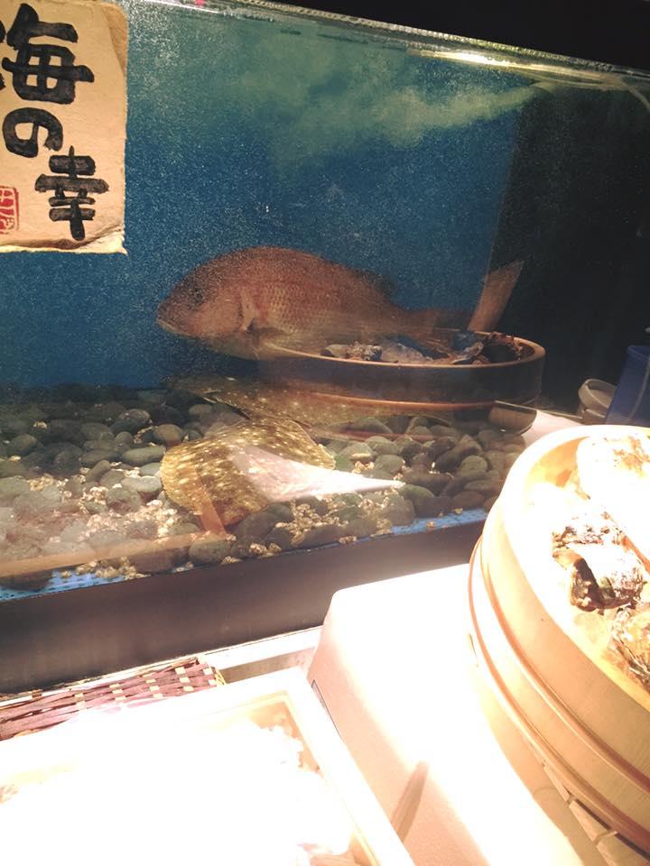 酒と肴 花わさび