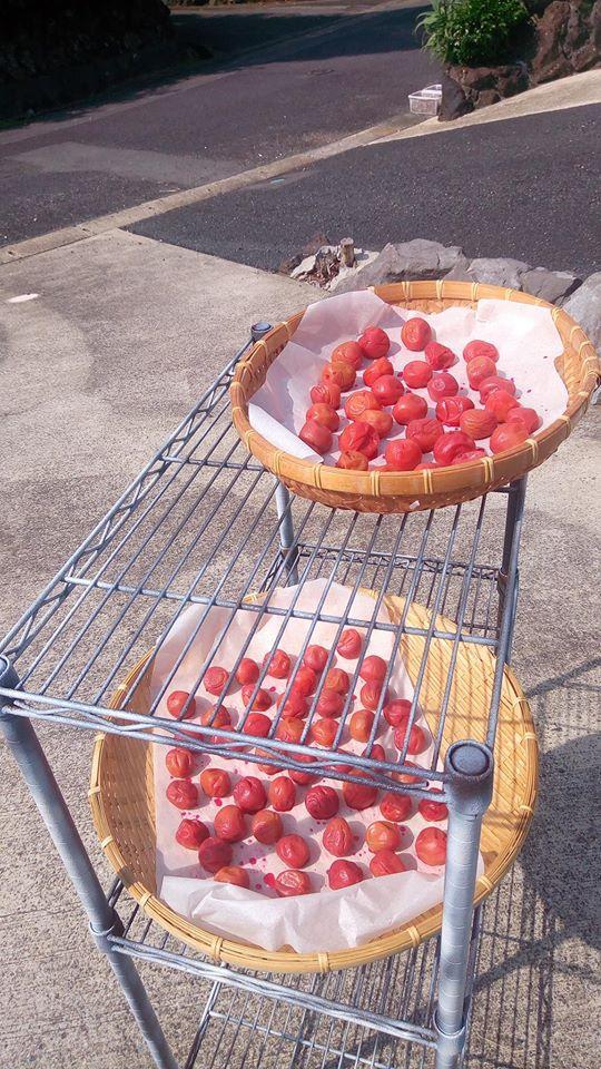 伊豆高原　城ヶ崎海岸　風流酒場　伊豆高原わび