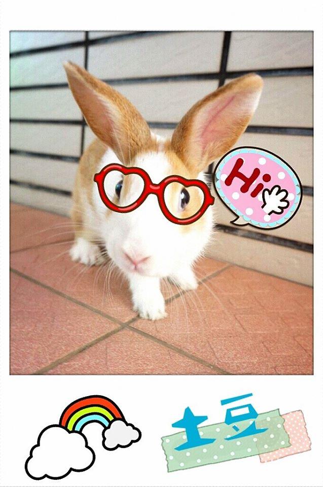 猴子舀糖忠孝店