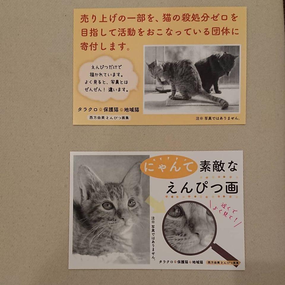 猫カフェ｜SmileAgain