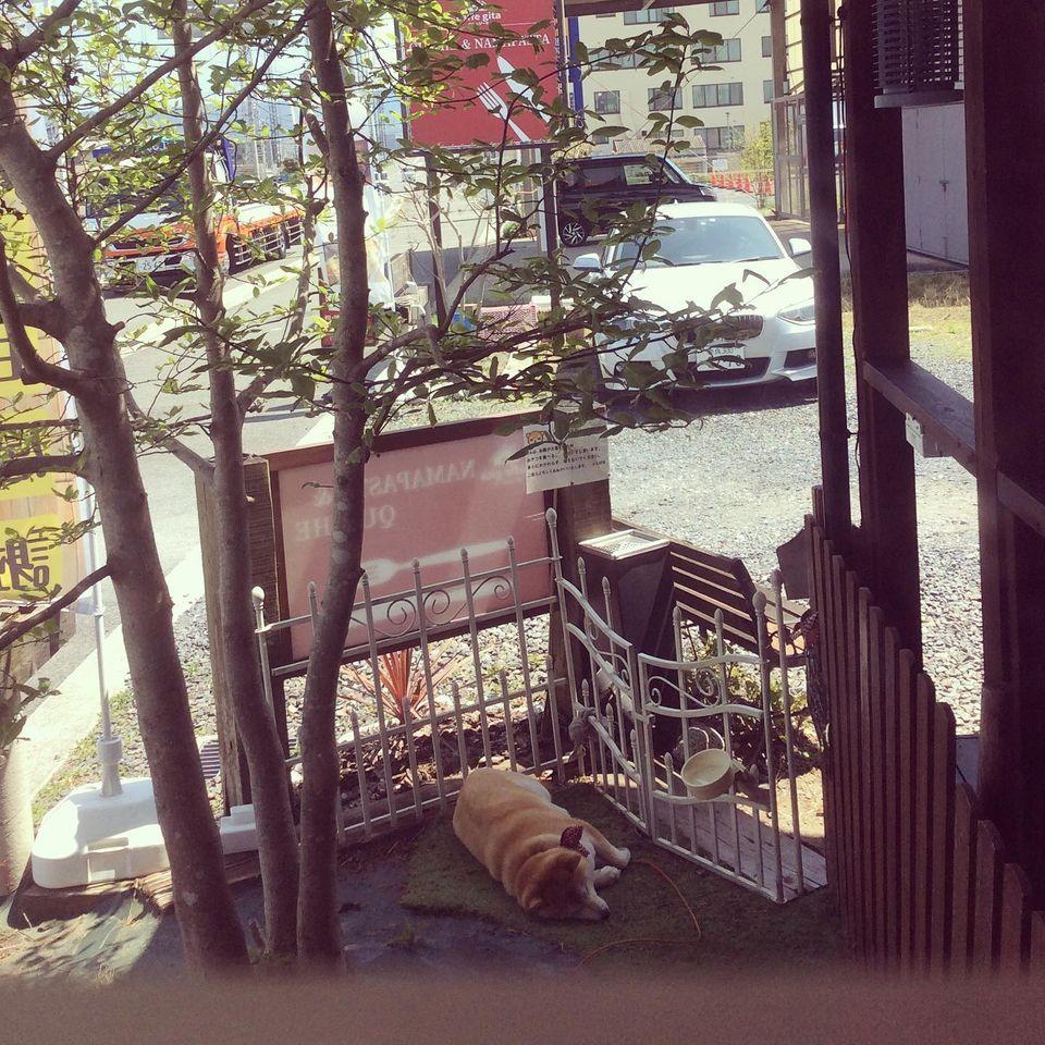 カフェジータ 大和郡山