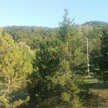 Bar Albergo Ristorante Penice