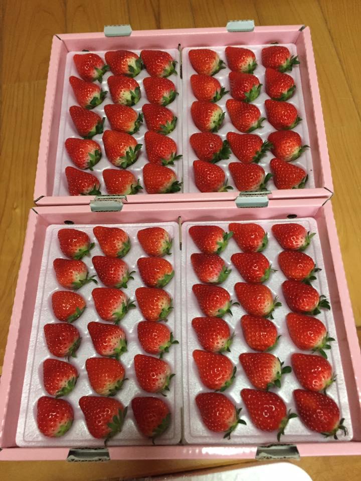 じぶんのうえん