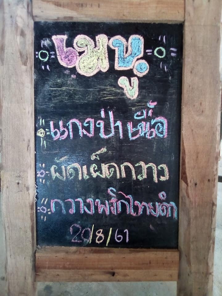 รวงผึ้ง อาหารป่า