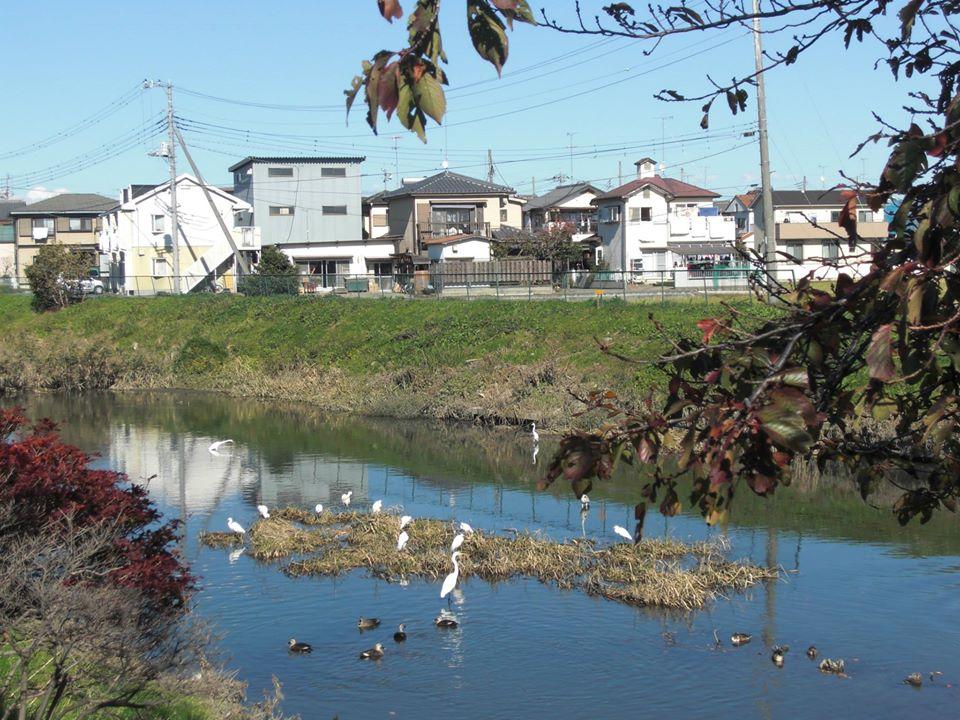 ぐっどわん