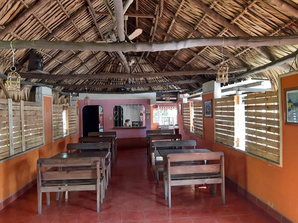 El Puerquito VELOZ