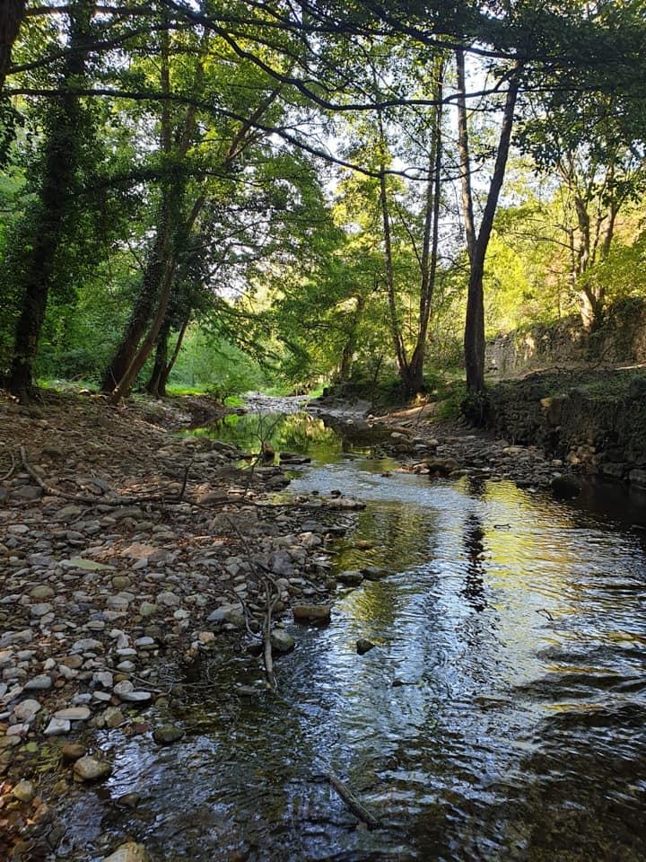 Auberge st jean de valeriscle - FERMÉ