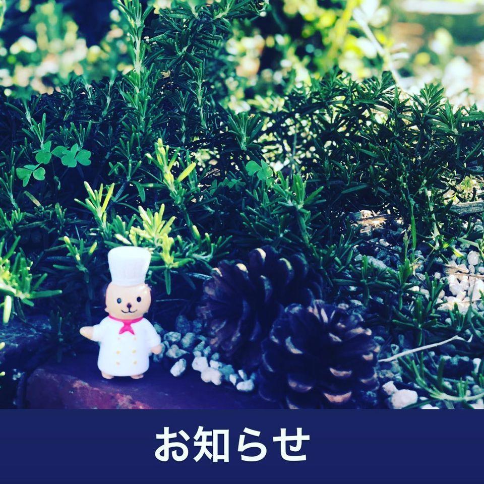 ビストロ松の樹（松田一樹）