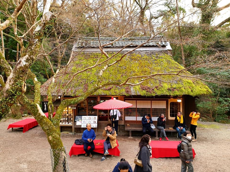 Mizutani Chaya