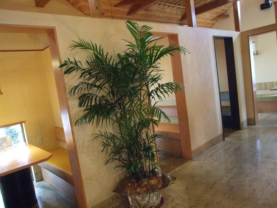アーリーブルーメル阿方店