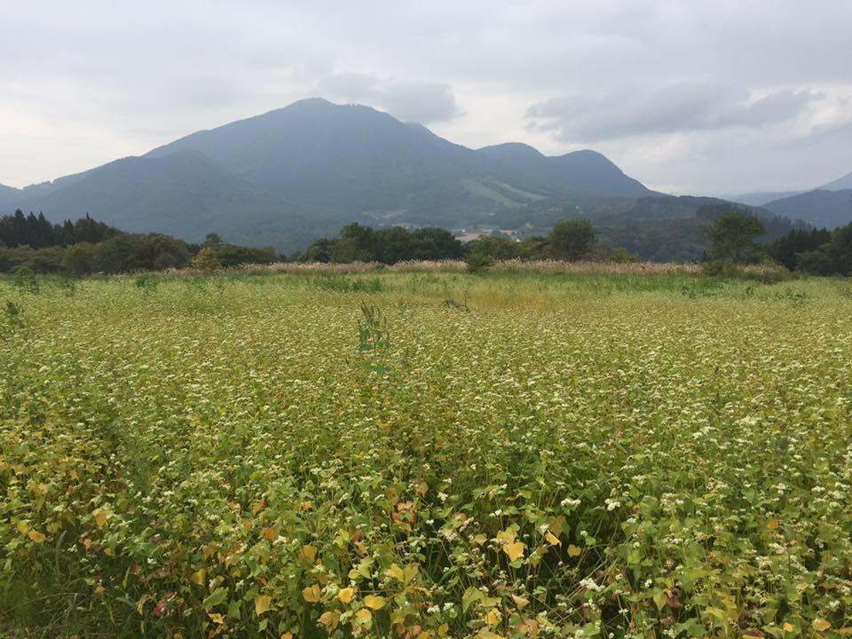 名水ぼくちそば　樽瀧