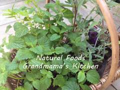 Natural Foods "Grandmama's Kitchen"