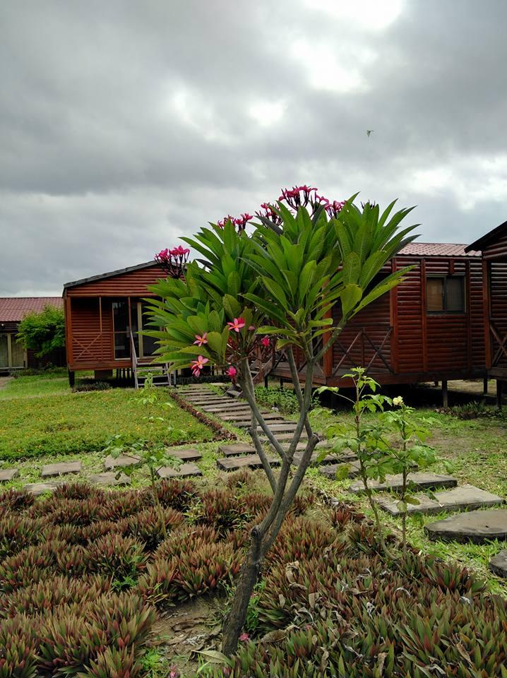 Horus Garden