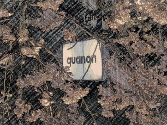 quanon