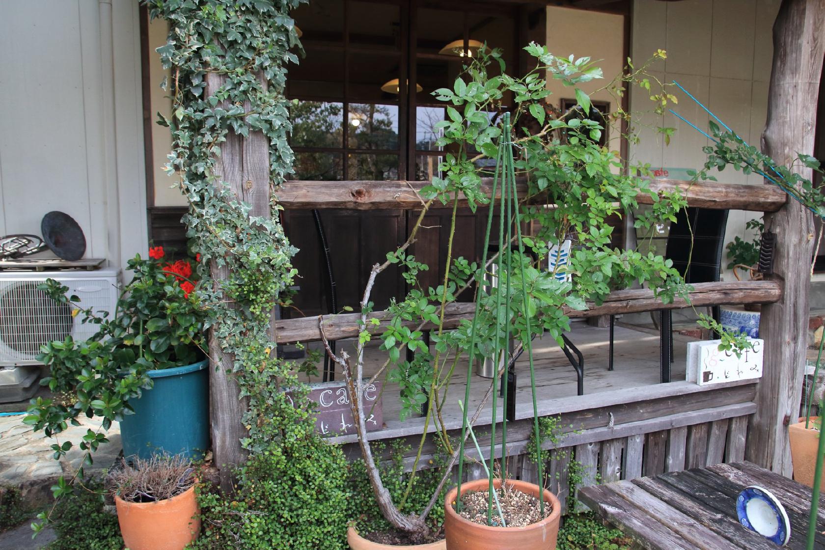 g-cafeどれみ