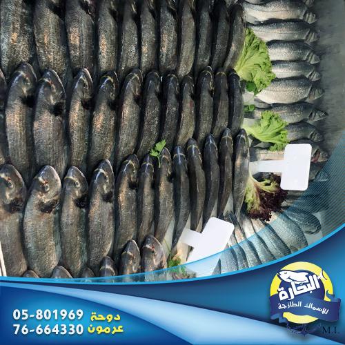 مسمكة البحّارة - عرمون