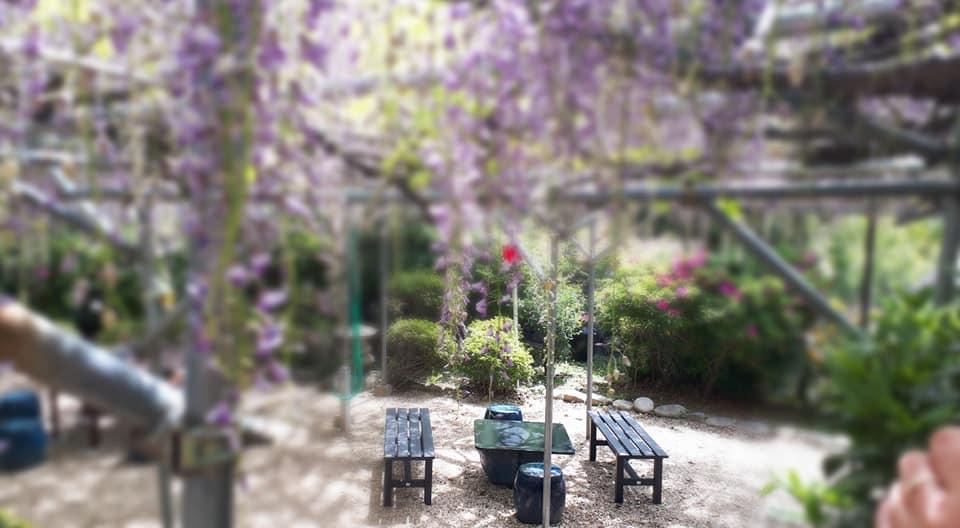 すし清